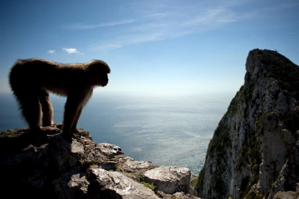 Best Location 2 Bed2 Bath W/Lift In Town! Gibraltar Luaran gambar